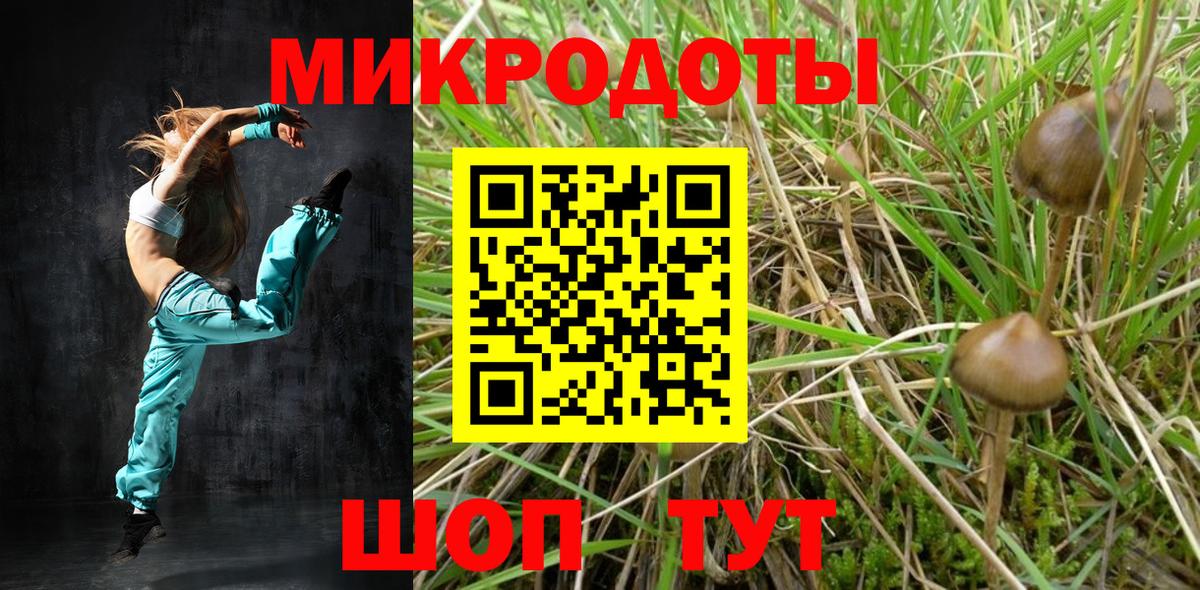 Псилоцибиновые грибы ЛСД Кохма