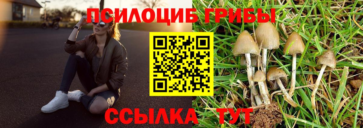 Кохма  Псилоцибиновые грибы мухоморы  Вход с VPN 