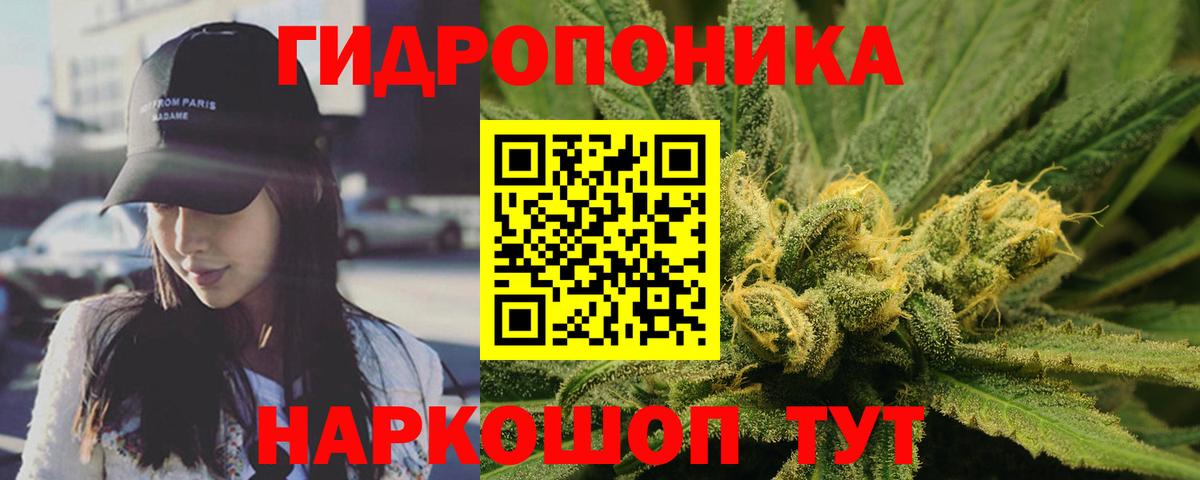 Конопля THC 21%  Вход с VPN  Марихуана планчик  Кохма  Марихуана OG Kush 